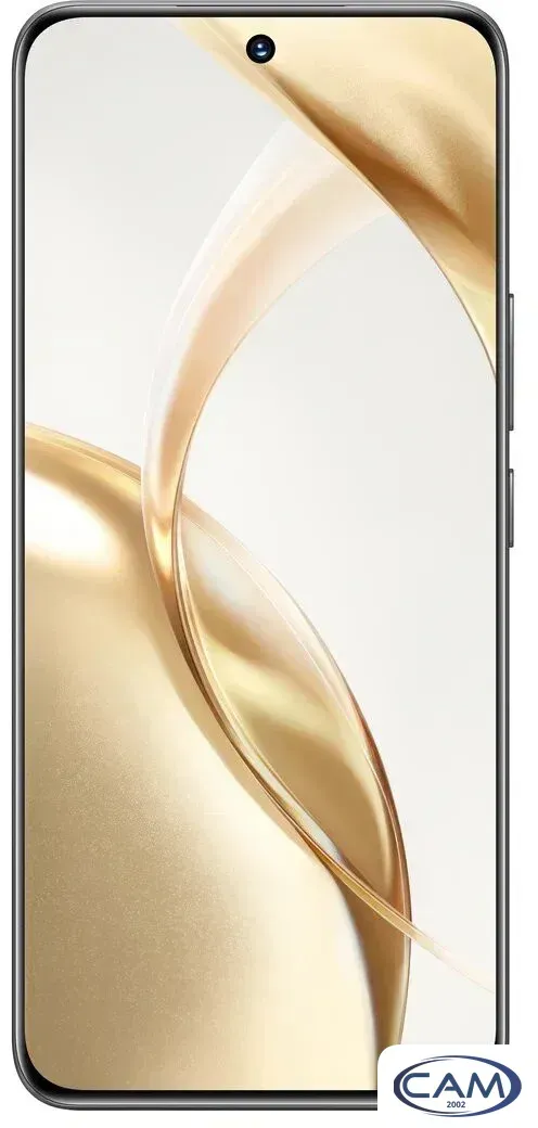 Телефон HONOR 200 8GB/256GB международная версия (вельветовый черный)