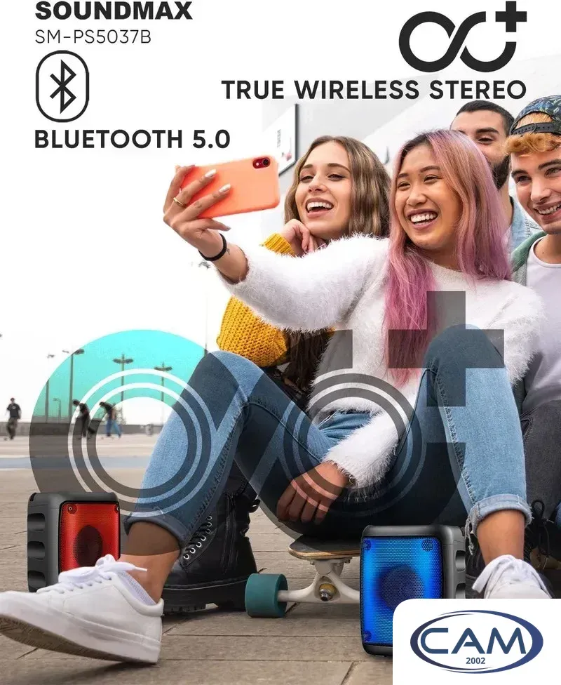 Беспроводная колонка Soundmax SM-PS5037B
