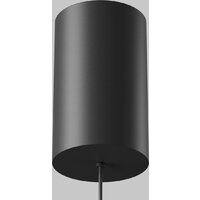 Подвесная люстра Maytoni Technical Glare P102PL-12W4K-B