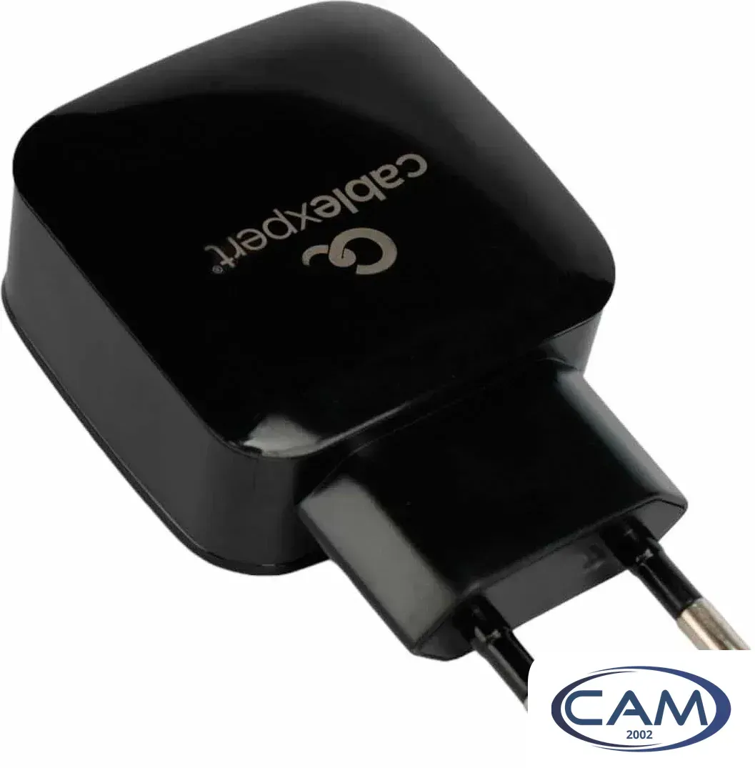 Сетевое зарядное Cablexpert MP3A-PC-41