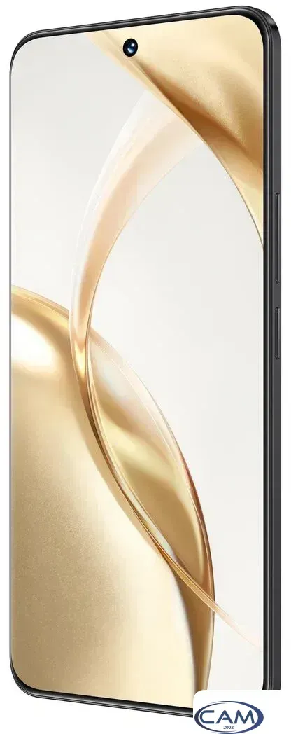 Телефон HONOR 200 8GB/256GB международная версия (вельветовый черный)