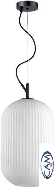 Подвесная люстра Odeon Light Roofi 4752/1