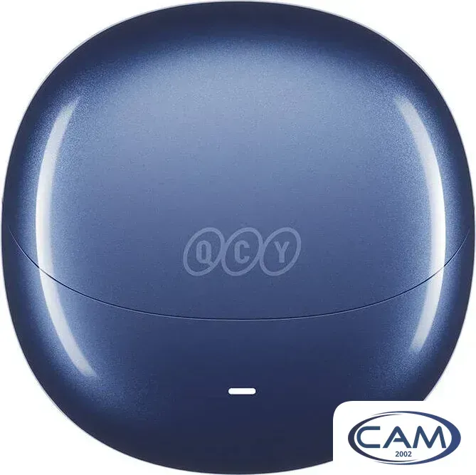Наушники QCY AilyBuds Pro+ (темно-синий)