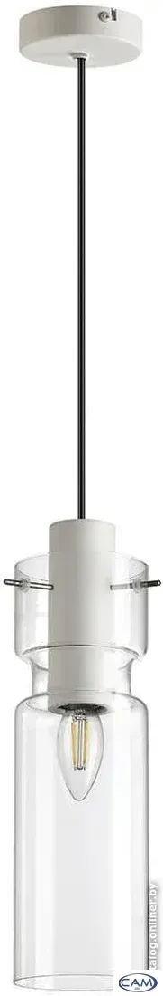 Подвесная люстра Odeon Light Scrow 5057/1B