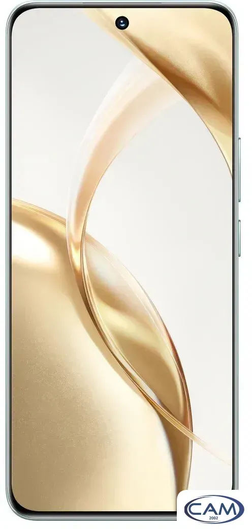 Телефон HONOR 200 12GB/512GB международная версия (изумрудно-зеленый)
