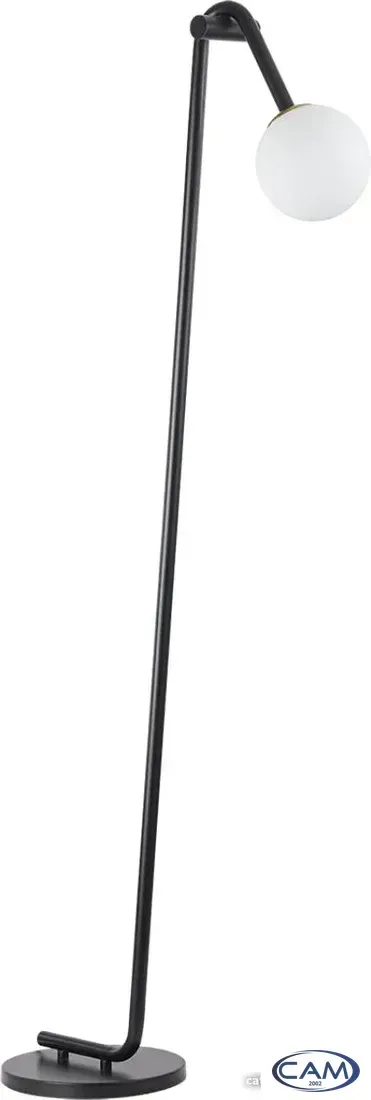 Торшер Lumion Dexter 6500/1F
