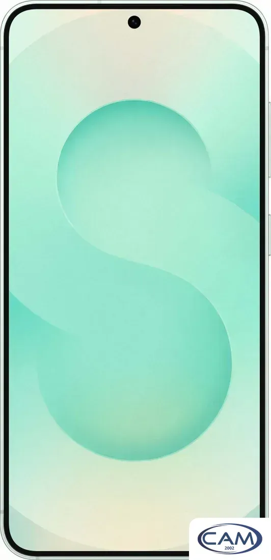 Телефон Samsung Galaxy S25 SM-S931B 12GB/512GB (мятный)