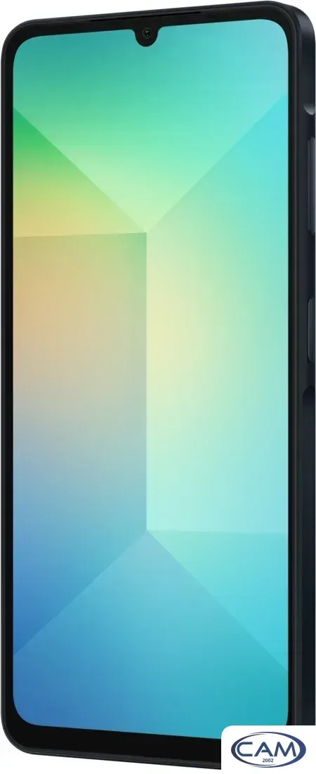 Телефон Samsung Galaxy A06 SM-A065F 4GB/64GB (черный)