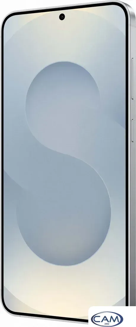 Телефон Samsung Galaxy S25+ SM-S936B 12GB/256GB (серый)