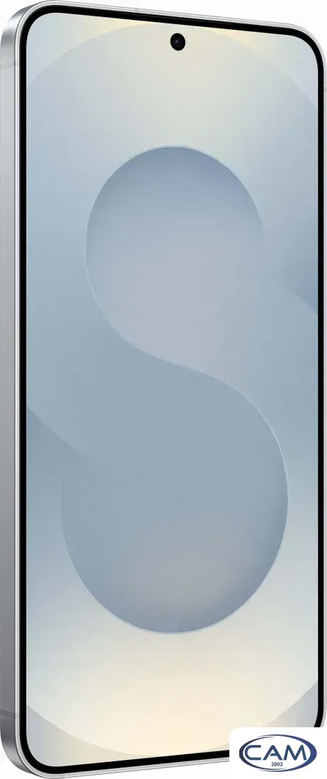 Телефон Samsung Galaxy S25 SM-S931B 12GB/512GB (серый)