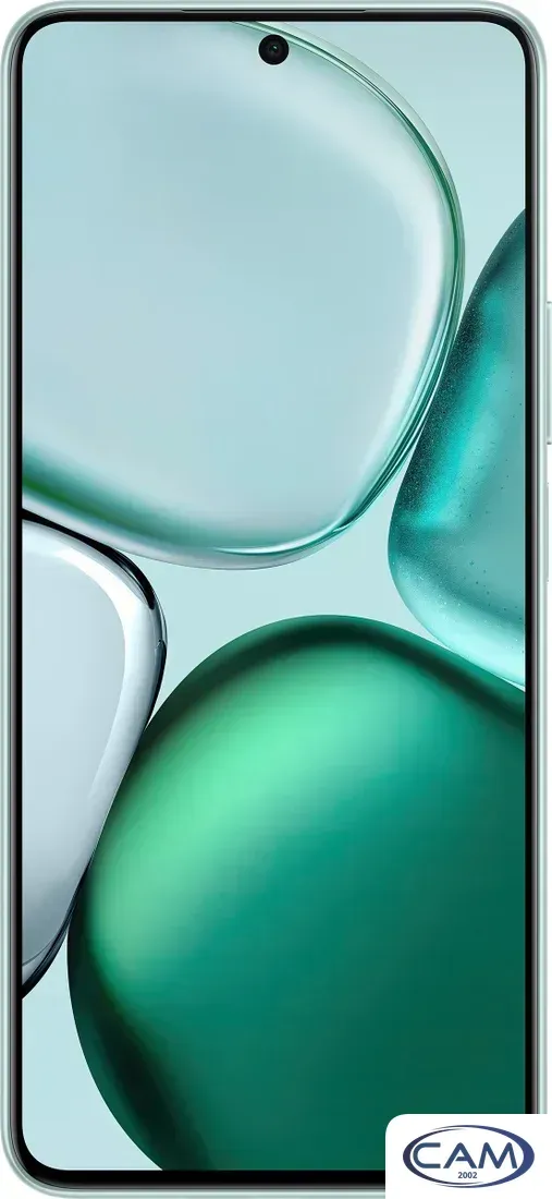 Телефон HONOR X9c Smart 8GB/256GB (бирюзовый)