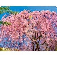 Коврик для мыши Defender Silk Pad Nature (50707)