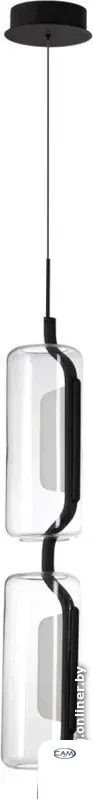 Подвесная люстра Odeon Light Kavia 5003/20L