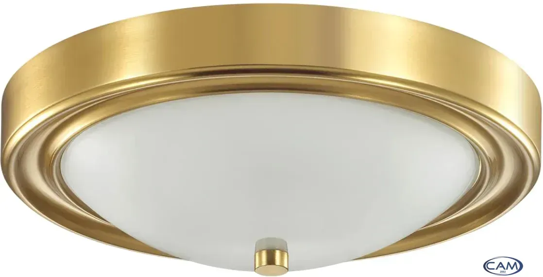 Припотолочная люстра Lumion Nina 5259/2C