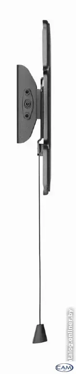 Кронштейн для телевизора Gembird WM-65T-02