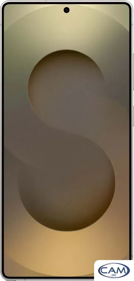 Телефон Samsung Galaxy S25 Ultra SM-S938B 12GB/256GB (серый титан)