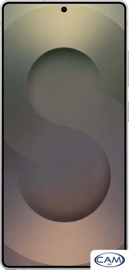 Телефон Samsung Galaxy S25 Ultra SM-S938B 12GB/1TB (серебряный титан)