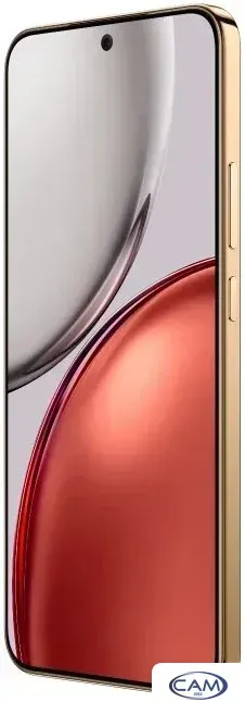 Телефон HONOR X9d 12GB/256GB международная версия (терракотовый)