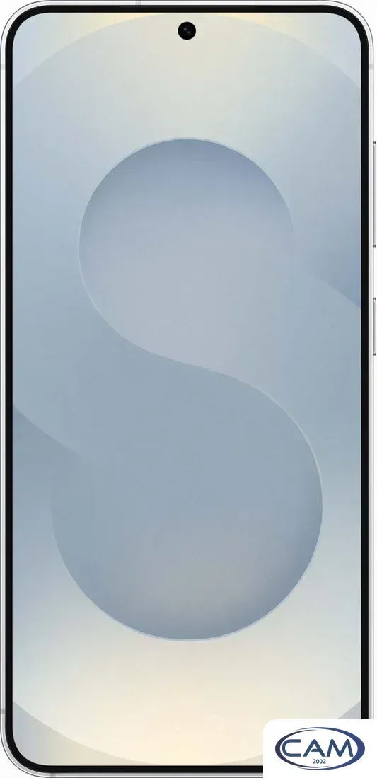 Телефон Samsung Galaxy S25 SM-S931B 12GB/512GB (серый)