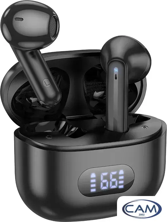 Наушники Borofone BW53 (черный)
