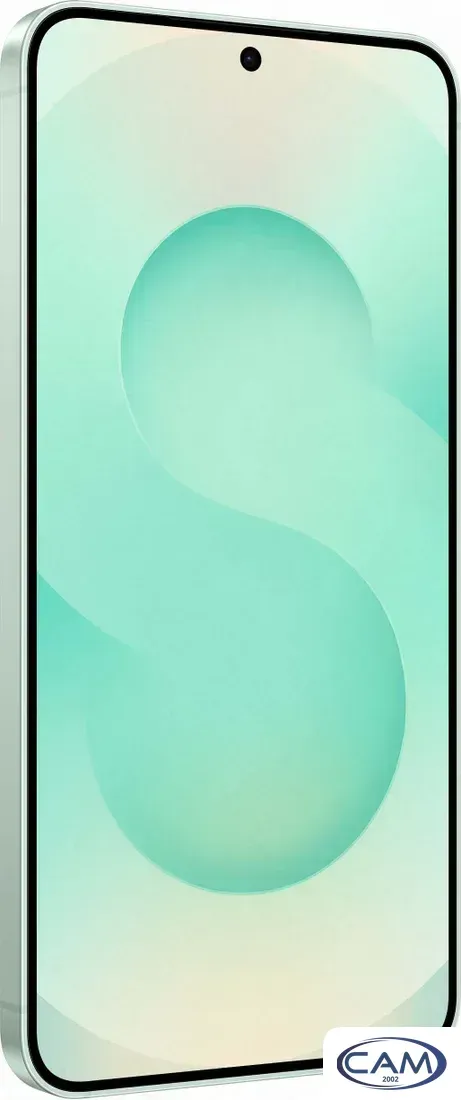 Телефон Samsung Galaxy S25 SM-S931B 12GB/512GB (мятный)