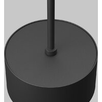 Подвесная люстра Maytoni Technical Glare P102PL-12W4K-B