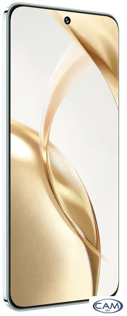 Телефон HONOR 200 12GB/512GB международная версия (изумрудно-зеленый)