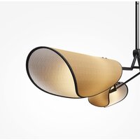 Подвесная люстра Maytoni Organic MOD225PL-04B