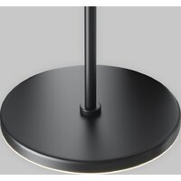 Подвесная люстра Maytoni Technical Plato P076PL-L12W4K-B