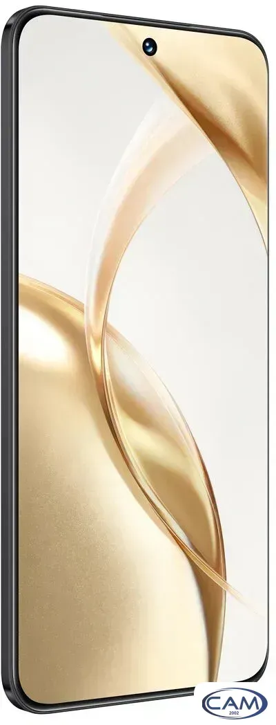 Телефон HONOR 200 8GB/256GB международная версия (вельветовый черный)