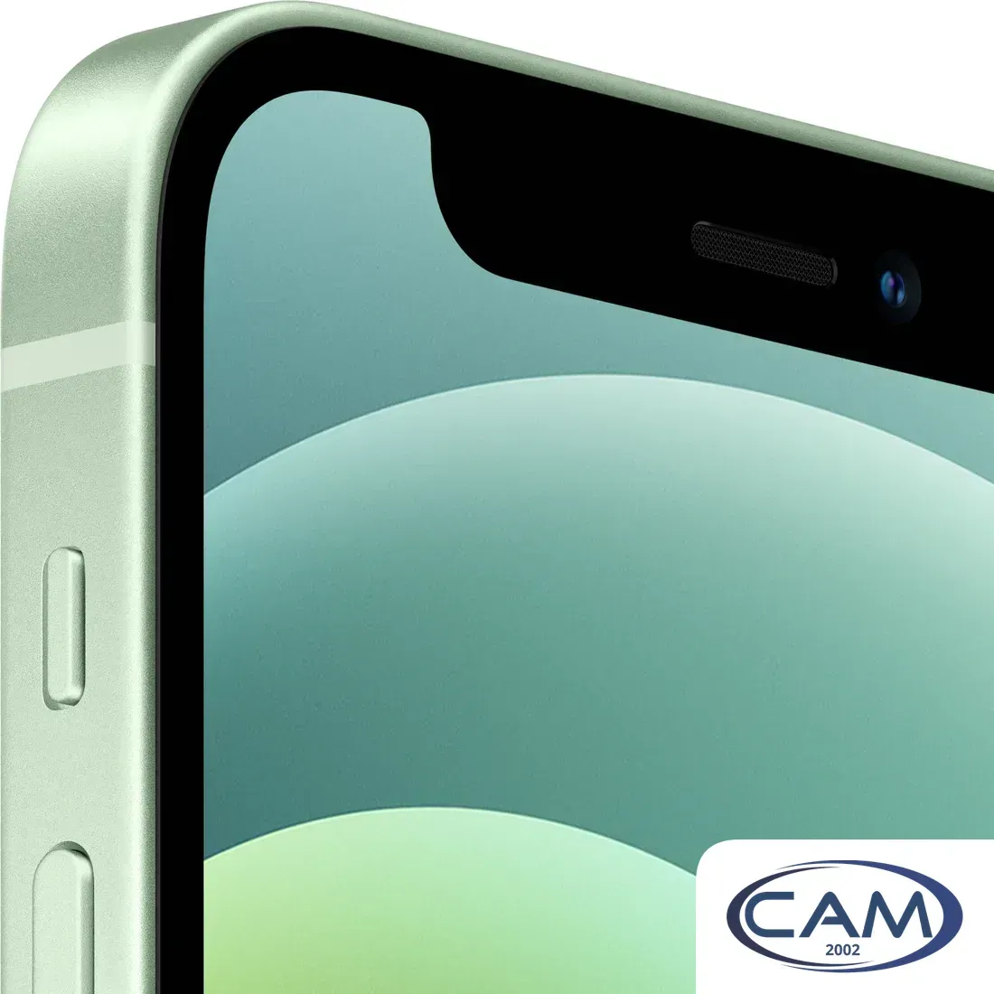 Смартфон Apple iPhone 12 mini 256GB Восстановленный by Breezy, грейд B (зеленый)