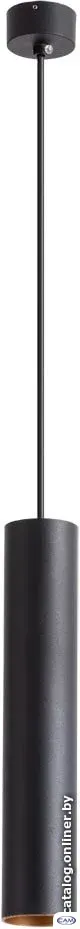 Светильник Arte Lamp Torre A1530SP-1BK