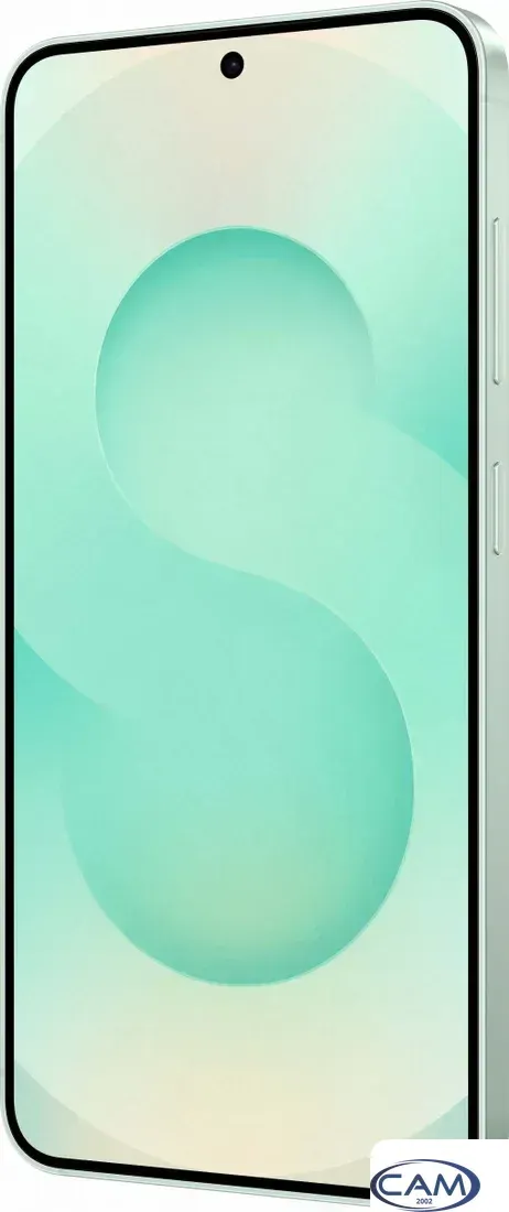 Телефон Samsung Galaxy S25 SM-S931B 12GB/512GB (мятный)
