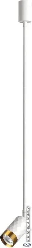 Подвесная люстра Odeon Light Ad Astrum 4350/1C