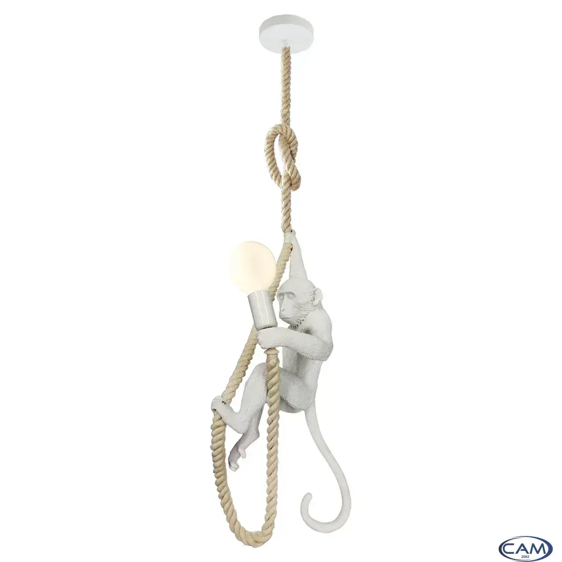 Подвесная люстра Lussole Loft Aya LSP-9993