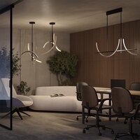 Подвесная люстра Maytoni Wabi MOD428PL-L20BK